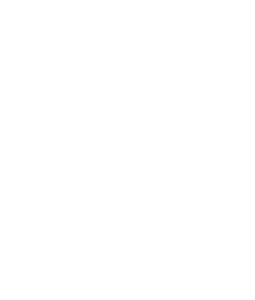 health insurance icon